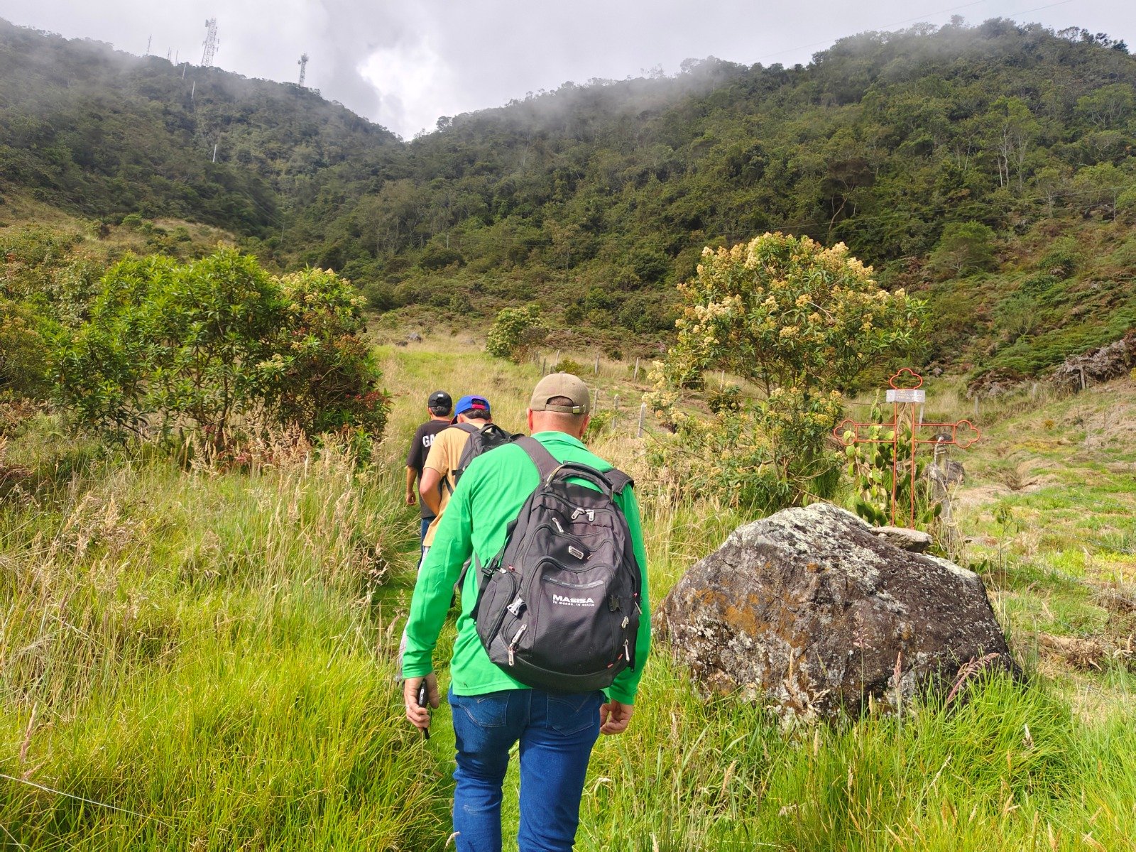 Segunda Fase De Intervención Cerro El Capiro
